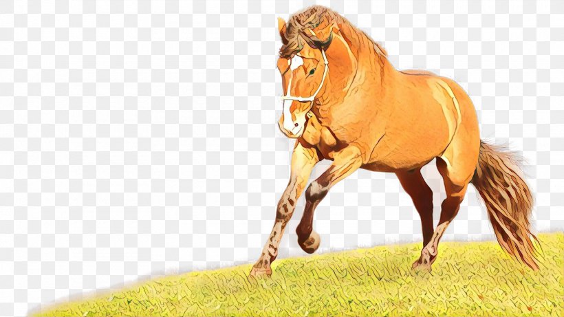 Cartoon Grass, PNG, 1920x1080px, Equine Coat Color, Animal, Animal Figure, Cleveland Bay, Collection Download Free