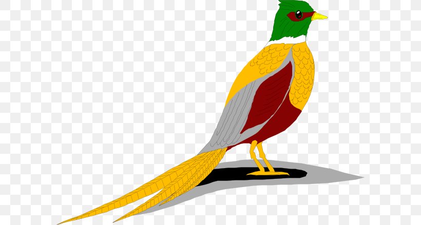 Green Pheasant Bird Clip Art, PNG, 600x439px, Pheasant, Beak, Bird, Copyright, Fauna Download Free