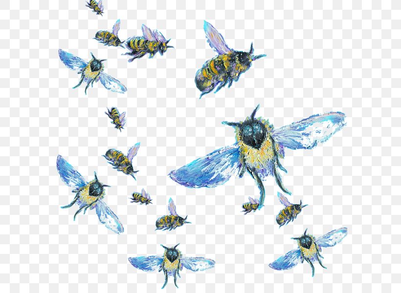 Honey Bee Butterfly 2M, PNG, 600x600px, Honey Bee, Arthropod, Bee, Butterflies And Moths, Butterfly Download Free