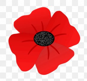 Remembrance Poppy Drawing Flower Clip Art, PNG, 709x711px, Poppy ...