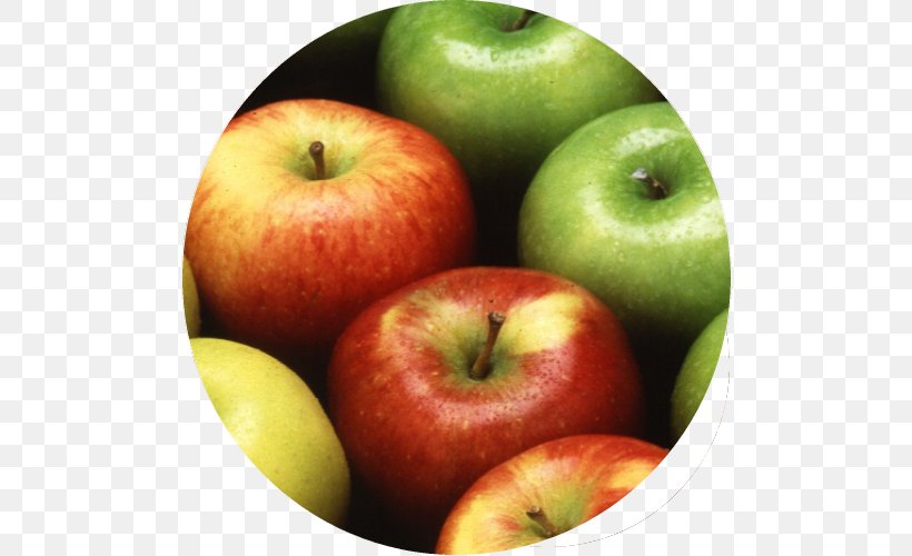 Apple Cider An Apple A Day Keeps The Doctor Away Eating Apples, PNG, 508x500px, Apple, Apple A Day Keeps The Doctor Away, Apple Cider, Apple Cider Vinegar, Apples Download Free