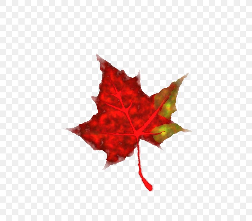 Autumn Leaf Color Clip Art, PNG, 800x720px, Autumn Leaf Color, Autumn, Color, Flowering Plant, Green Download Free