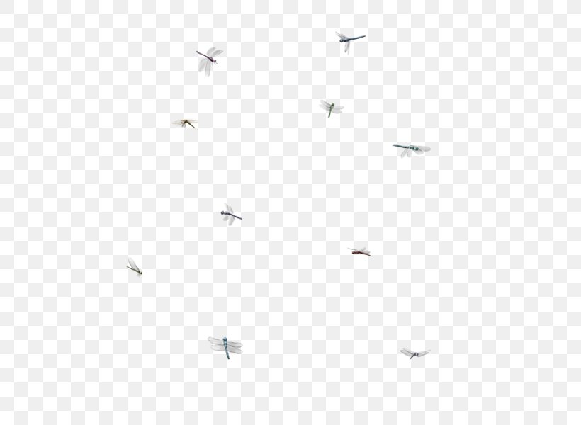 Bird Migration Angle Line Font, PNG, 500x600px, Bird Migration, Animal Migration, Bird, Black, Black And White Download Free