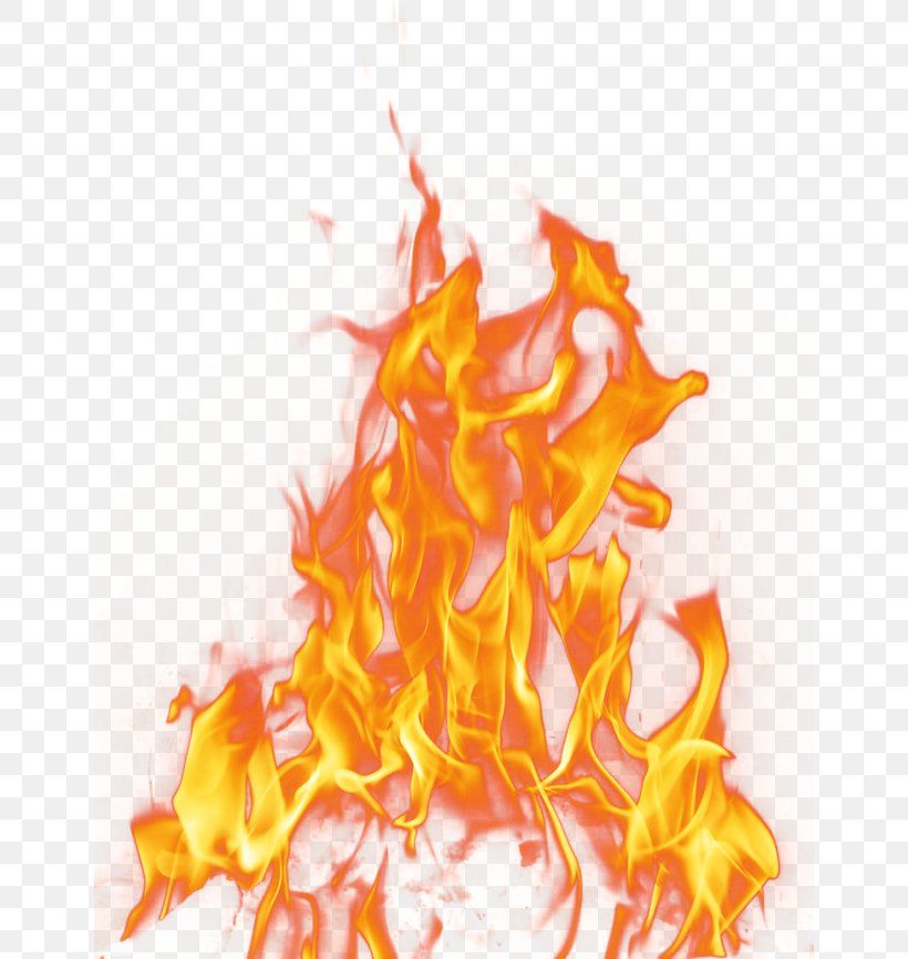 Fire Flame, PNG, 650x866px, Fire, Combustion, Explosion ...