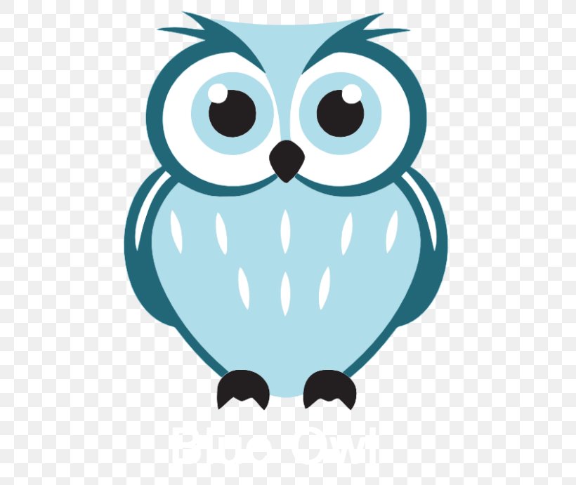 Owl Bird Drawing Clip Art, PNG, 605x691px, Owl, Artwork, Beak, Bird, Bird Of Prey Download Free