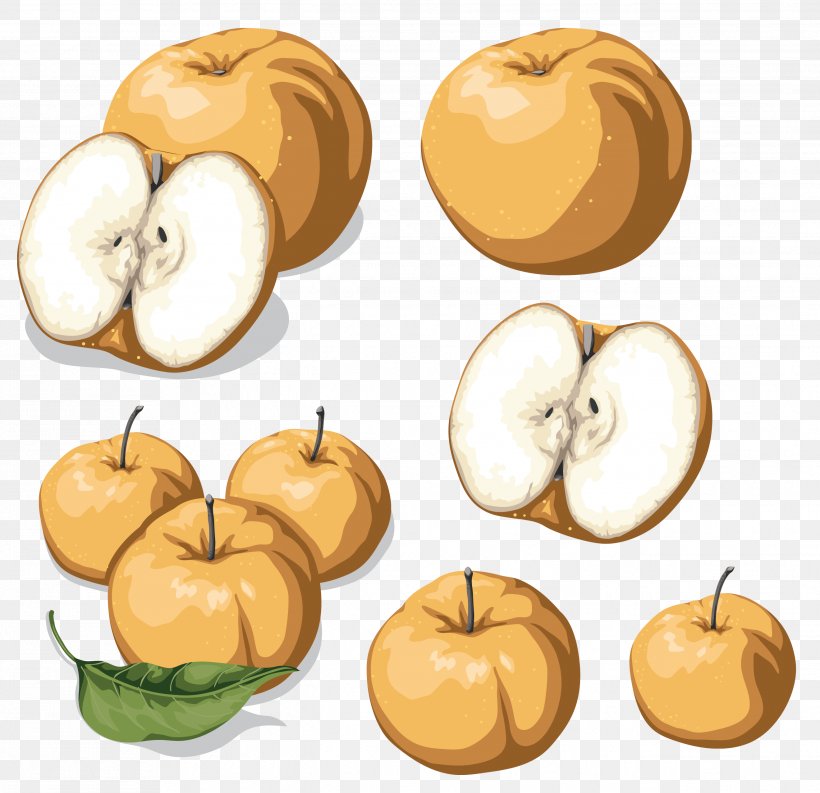 Apple Fruit, PNG, 2639x2555px, Apple, Calabaza, Commodity, Computer Software, Diet Food Download Free