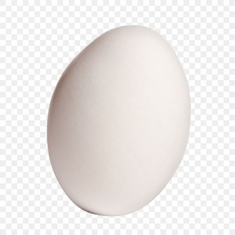 Domestic Goose Egg, PNG, 1000x1000px, Goose, Domestic Goose, Down Feather, Egg, Ganso Download Free