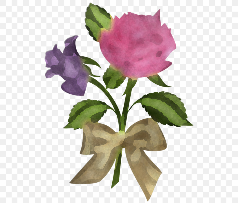 Flower Pink Petal Plant Violet, PNG, 535x699px, Flower, Cut Flowers, Petal, Pink, Plant Download Free