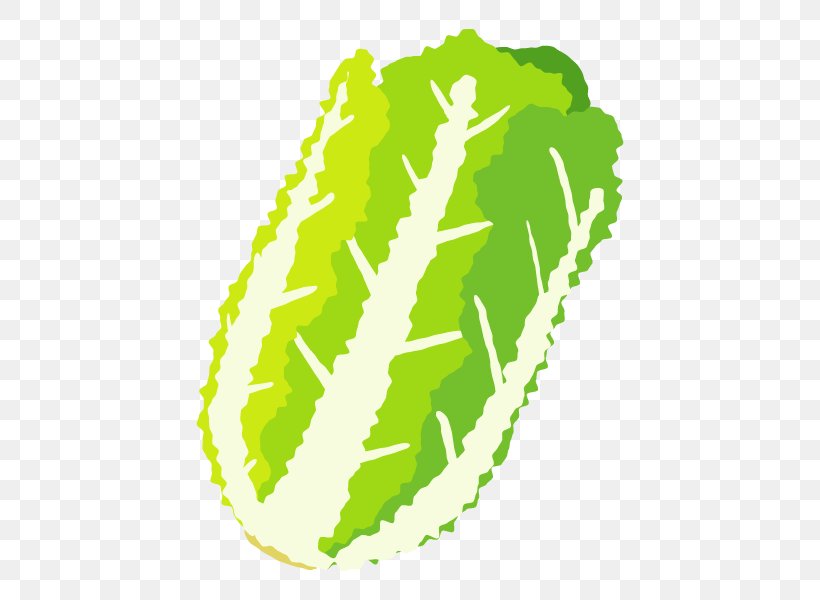 Vector Graphics Graphic Design Image, PNG, 600x600px, Logo, Grass, Green, Leaf, Napa Cabbage Download Free