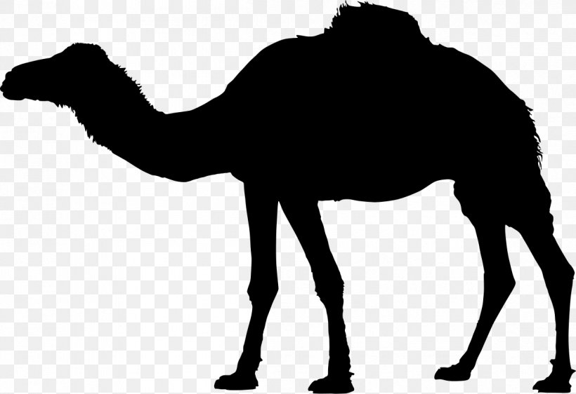 Vector Graphics Illustration Silhouette Clip Art Dromedary, PNG, 1199x822px, Silhouette, Arabian Camel, Art, Bactrian Camel, Blackandwhite Download Free