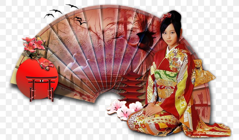 Woman Condizione Della Donna In Giappone Geisha, PNG, 800x480px, Woman, Animated Film, Condizione Della Donna In Giappone, Geisha, Hand Fan Download Free