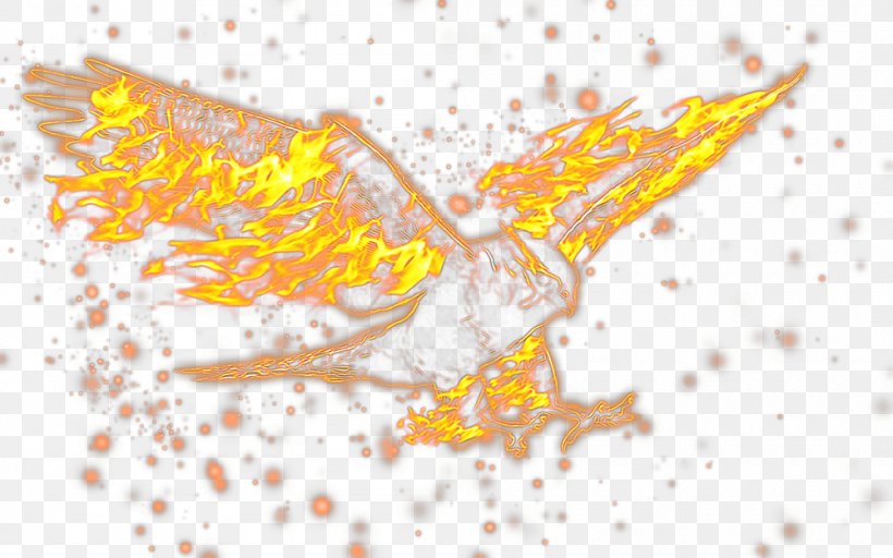 Bird Flame Fire, PNG, 1000x625px, Bird, Computer Graphics, Fire, Fire Point, Flame Download Free
