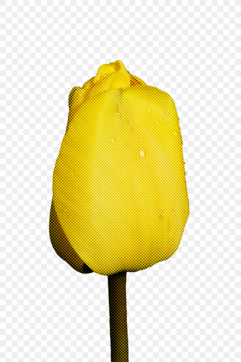 Flower Tulip Petal Yellow Plants, PNG, 1200x1805px, Flower, Biology, Petal, Plants, Science Download Free
