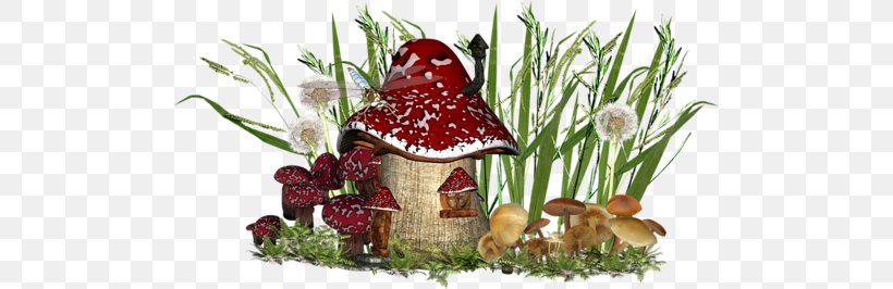 Fungus Clip Art, PNG, 500x266px, Fungus, Blog, Edible Mushroom, Floral Design, Floristry Download Free