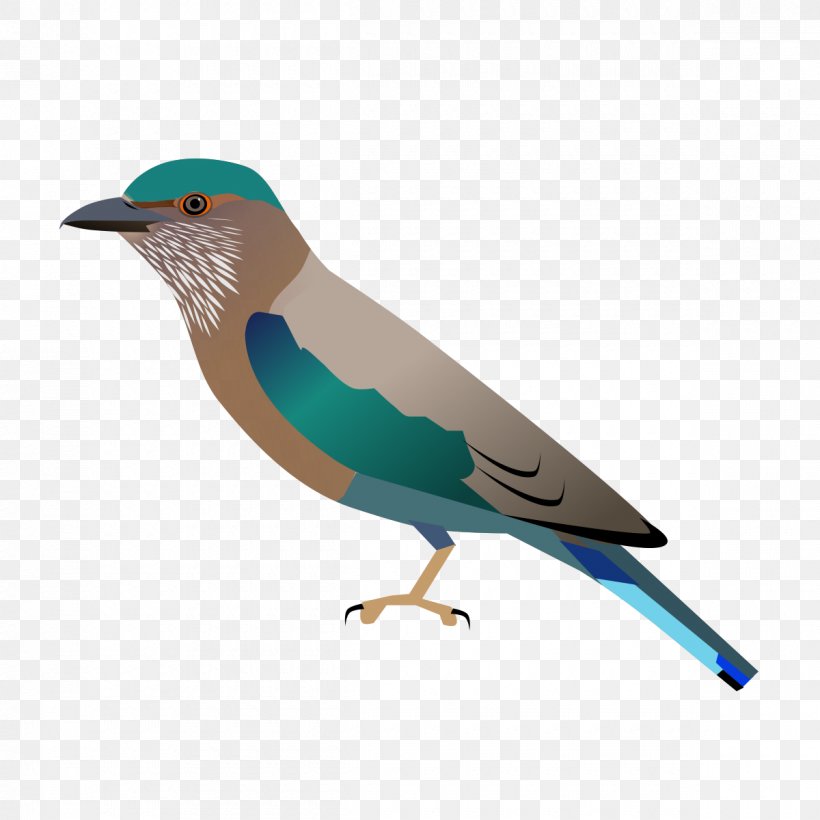 Indian Roller Bird Andhra Pradesh European Roller, PNG, 1200x1200px, Indian Roller, Andhra Pradesh, Beak, Bird, Coracias Download Free