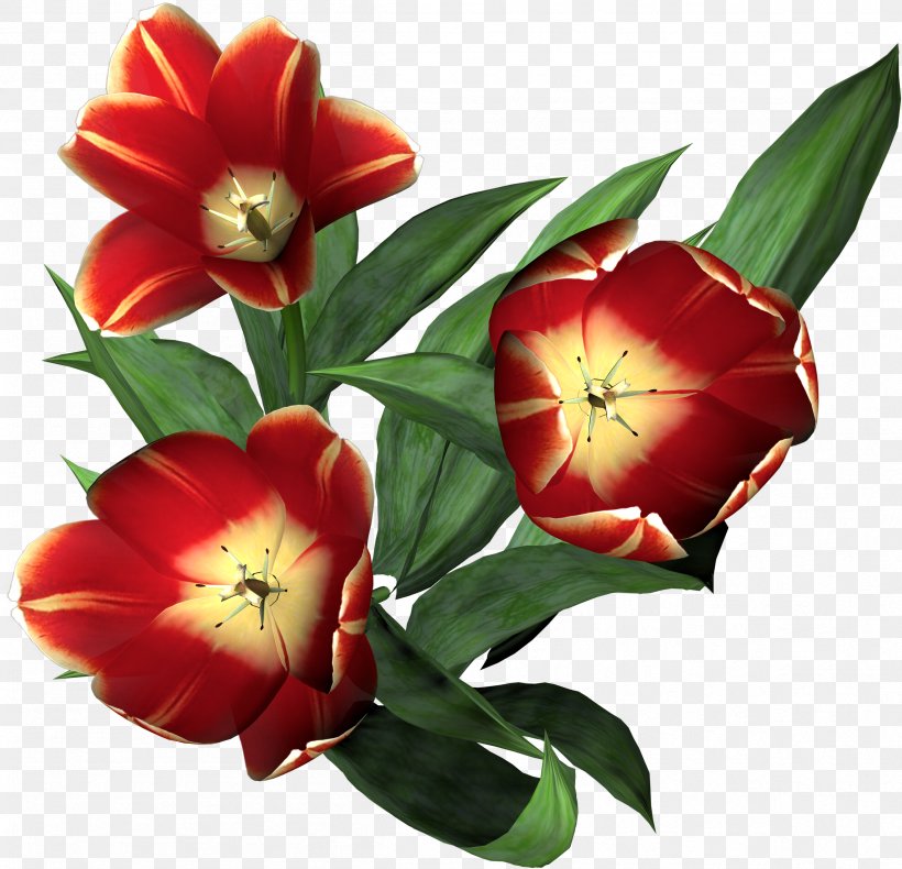 Tulip Flower Clip Art, PNG, 2408x2321px, Tulip, Blume, Cut Flowers, Email, Flower Download Free
