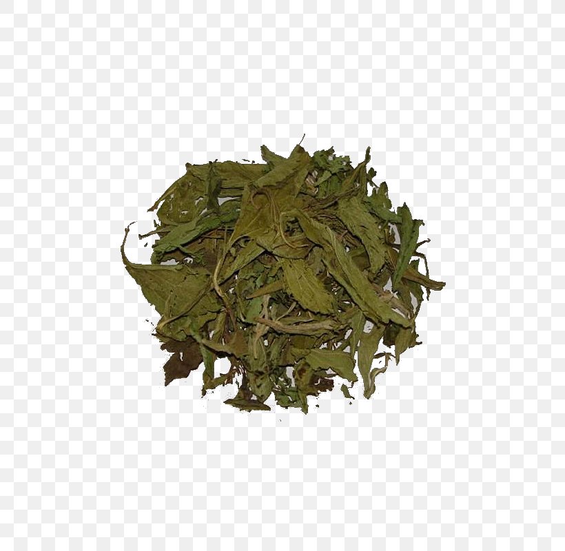 Green Tea Candyleaf Stevia Herb, PNG, 800x800px, Tea, Assam Tea, Bai Mudan, Bancha, Biluochun Download Free