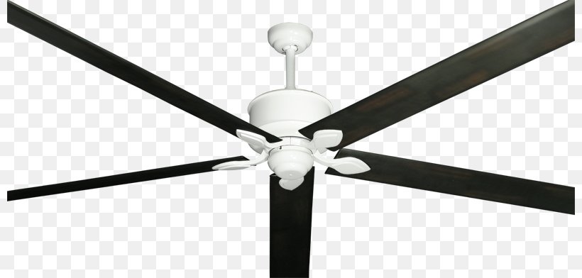 Ceiling Fans Line Angle, PNG, 800x392px, Ceiling Fans, Ceiling, Ceiling Fan, Fan, Home Appliance Download Free