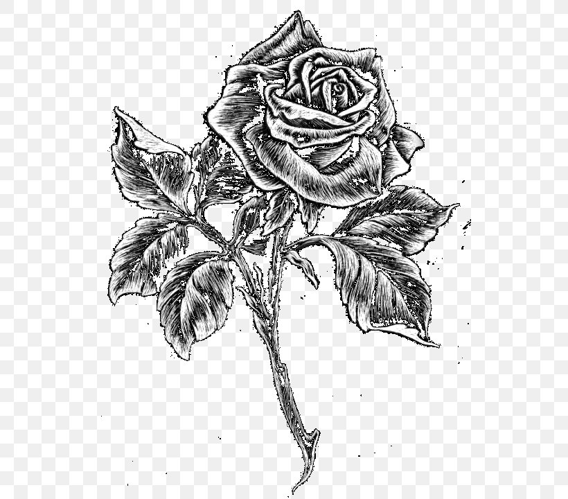 Garden Roses Headstone Sketch Visual Arts Monument, PNG, 540x720px, Garden Roses, Art, Artwork, Black And White, Caricature Download Free