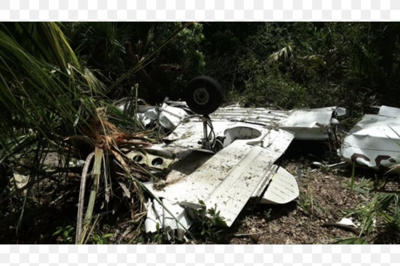 Marineland Airplane Aircraft Aviation Accidents And Incidents National Transportation Safety Board, PNG, 870x580px, Marineland, Accident, Aircraft, Airplane, Aviation Download Free