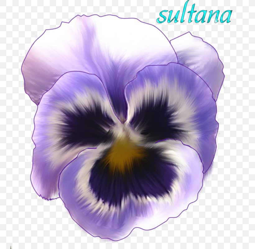 Purple Watercolor Flower, PNG, 753x800px, Pansy, Catcats, Community, Flower, Flower Bouquet Download Free