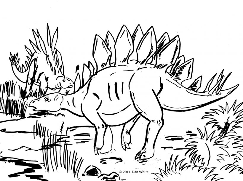 Stegosaurus Tyrannosaurus Dinosaur Pictures Coloring Book, PNG, 1600x1193px, Stegosaurus, Adult, Area, Black And White, Book Download Free