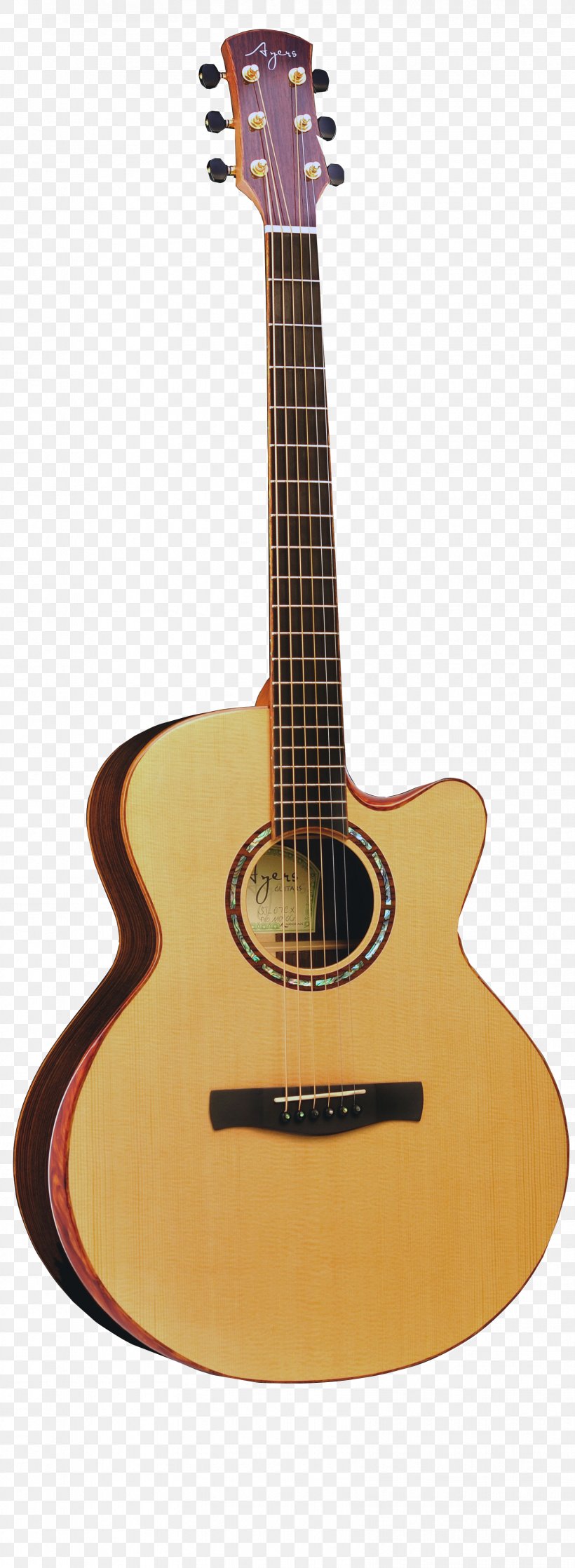 Acoustic-electric Guitar Fender Musical Instruments Corporation Dreadnought Acoustic Guitar, PNG, 1661x4531px, Guitar, Acoustic Electric Guitar, Acoustic Guitar, Acousticelectric Guitar, Bass Guitar Download Free