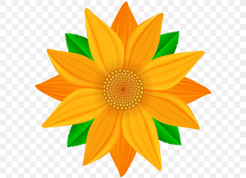 Common Sunflower Clip Art, PNG, 600x595px, Common Sunflower, Art Museum, Cut Flowers, Daisy Family, Flower Download Free