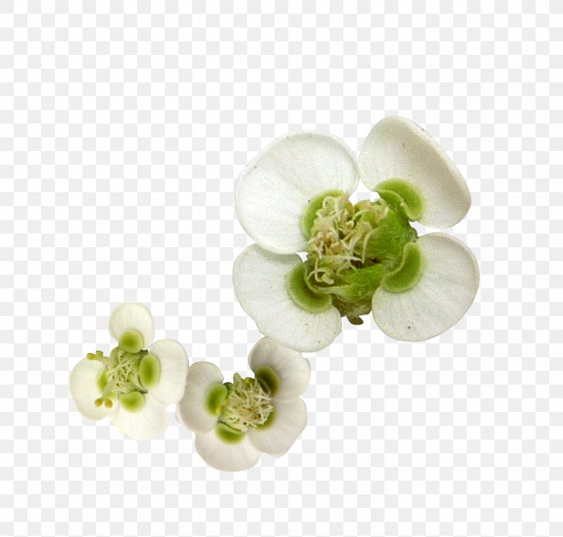 Flower Petal Clip Art, PNG, 1484x1416px, Flower, Author, Body Jewelry, Jasmine, Jewellery Download Free