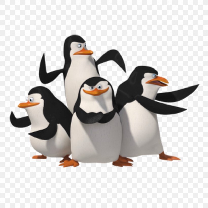 Penguin Skipper Madagascar Clip Art, PNG, 900x900px, Penguin, Animation, Beak, Bird, Flightless Bird Download Free