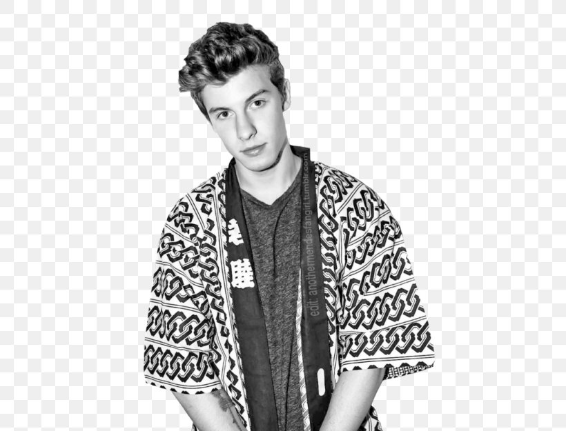 Shawn Mendes Chasing Cameron In My Blood Singer-songwriter Mendes Army, PNG, 500x625px, Shawn Mendes, Black And White, Chasing Cameron, Drawing, In My Blood Download Free