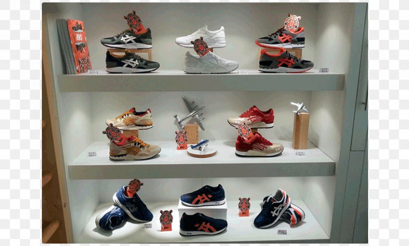 Shoe Shop Shelf YurView California, PNG, 850x513px, Shoe Shop, Collection, Display Case, Footwear, Outdoor Shoe Download Free