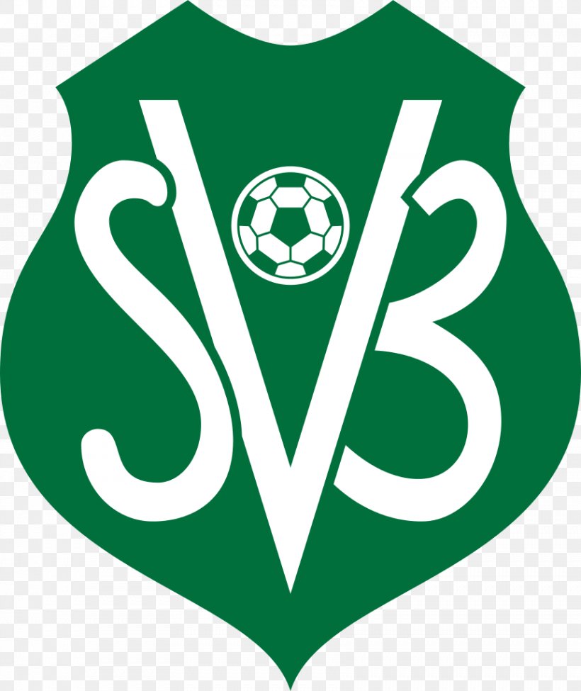Suriname National Football Team CONCACAF Gold Cup SVB Topklasse Surinamese Football Association, PNG, 861x1024px, Suriname National Football Team, Area, Brand, Caribbean Football Union, Concacaf Download Free