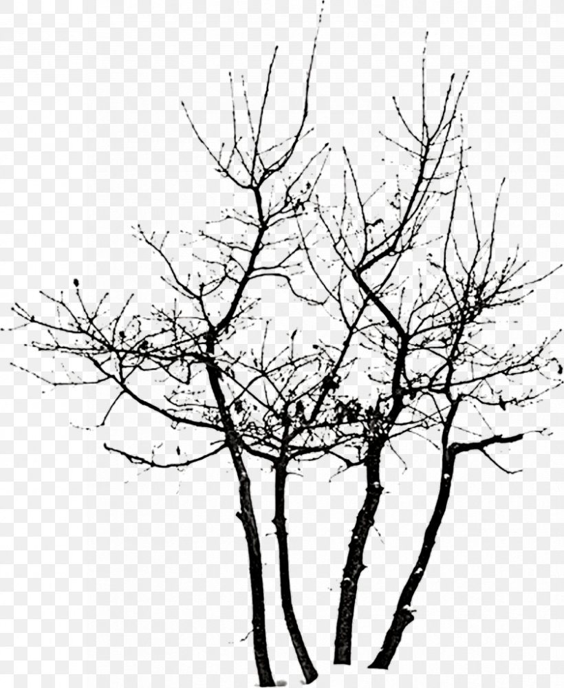 Tree Clip Art, PNG, 839x1024px, Tree, Black And White, Branch, Collage, Digital Image Download Free