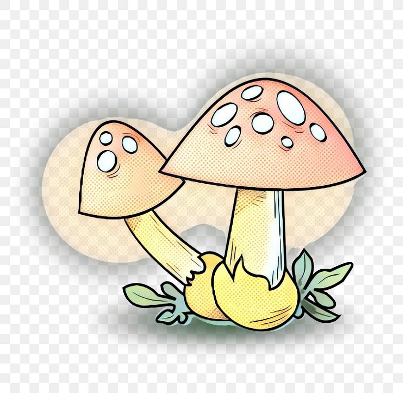 Clip Art Illustration WINSKO TURTLE M Character Flowering Plant, PNG, 800x800px, Winsko Turtle M, Art, Cartoon, Character, Fiction Download Free