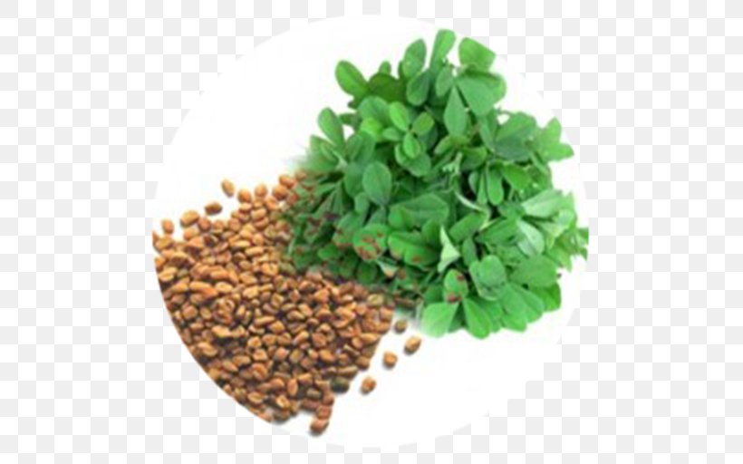 Fenugreek Indian Cuisine Kadhi Leaf Herb, PNG, 512x512px, Fenugreek, Commodity, Coriander, Curry Tree, Dill Download Free