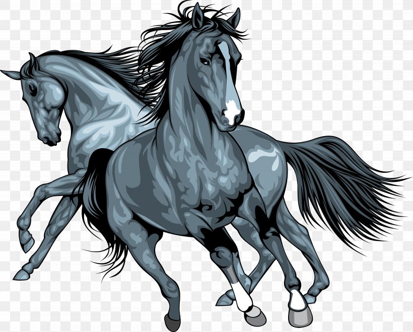 Wild Horse Clip Art, PNG, 4741x3822px, Horse, Black And White, Bridle, Colt, Drawing Download Free