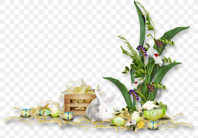Easter Social Media Holiday Christmas Blog, PNG, 800x571px, Easter, Advertising, Blog, Christmas, Cut Flowers Download Free
