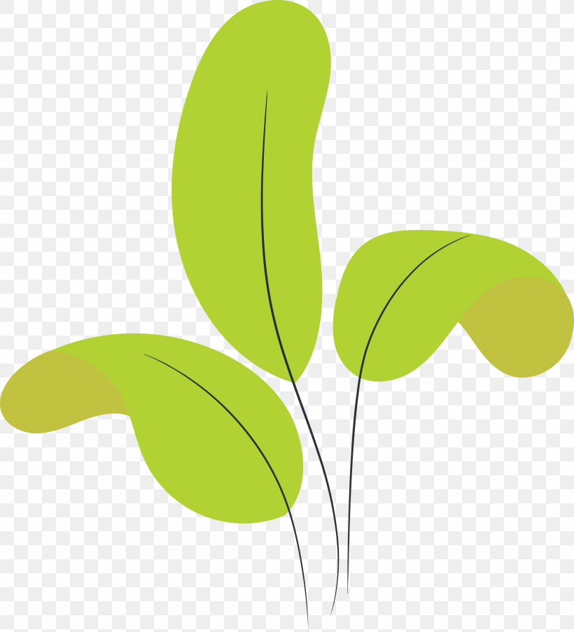 Leaf Plant Stem Green Line Meter, PNG, 2721x3000px, Leaf, Biology, Green, Line, Meter Download Free