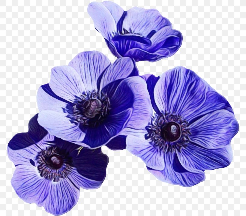 Artificial Flower Blue Cut Flowers Lily, PNG, 776x720px, Flower, Anemone, Artificial Flower, Black, Blue Download Free