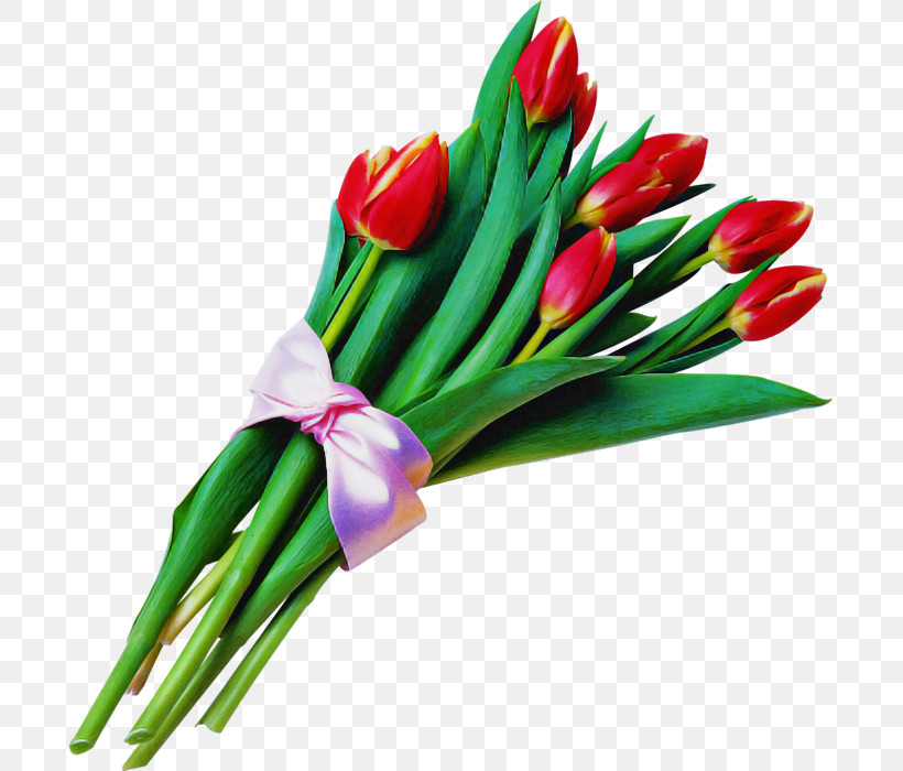 Flower Tulip Plant Cut Flowers Bouquet, PNG, 693x700px, Flower, Bouquet, Cut Flowers, Lily Family, Plant Download Free