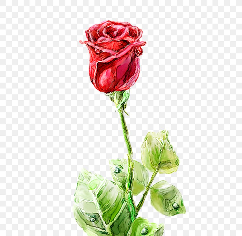 Garden Roses Centifolia Roses Floral Design Vase Cut Flowers, PNG, 600x800px, Flower, Artificial Flower, Cut Flowers, Floral Design, Floristry Download Free
