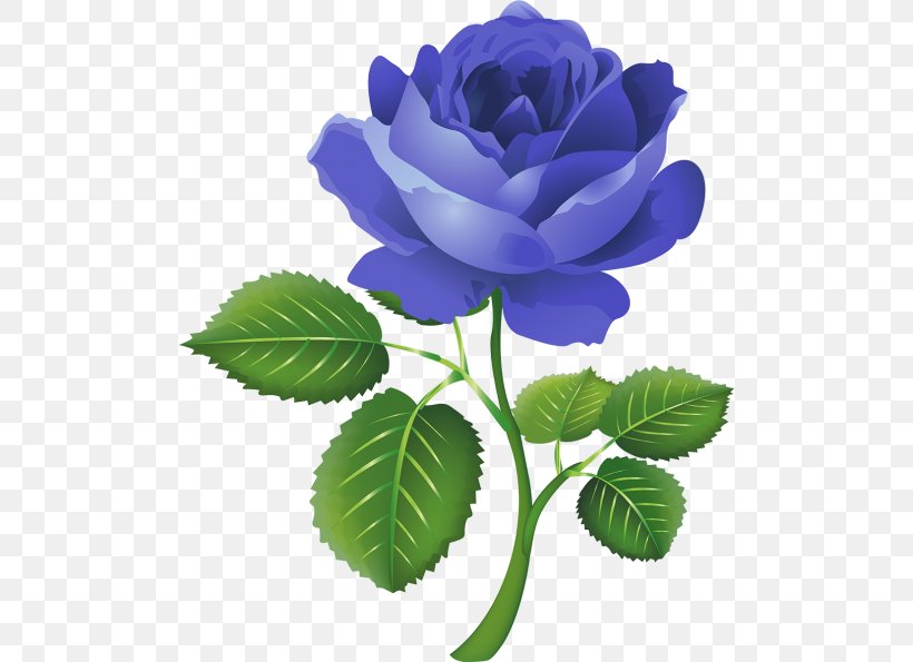 Rose Flower Clip Art, PNG, 500x595px, Rose, Blue, Blue Rose, Color, Cut Flowers Download Free