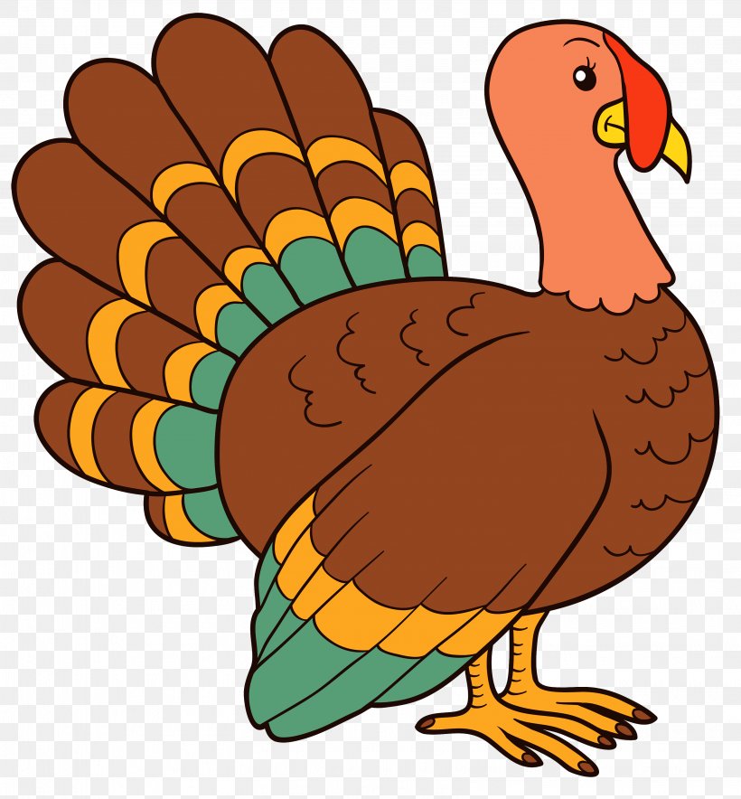 Thanksgiving Turkey Clip Art PNG 3243x3500px Turkey Beak Bird