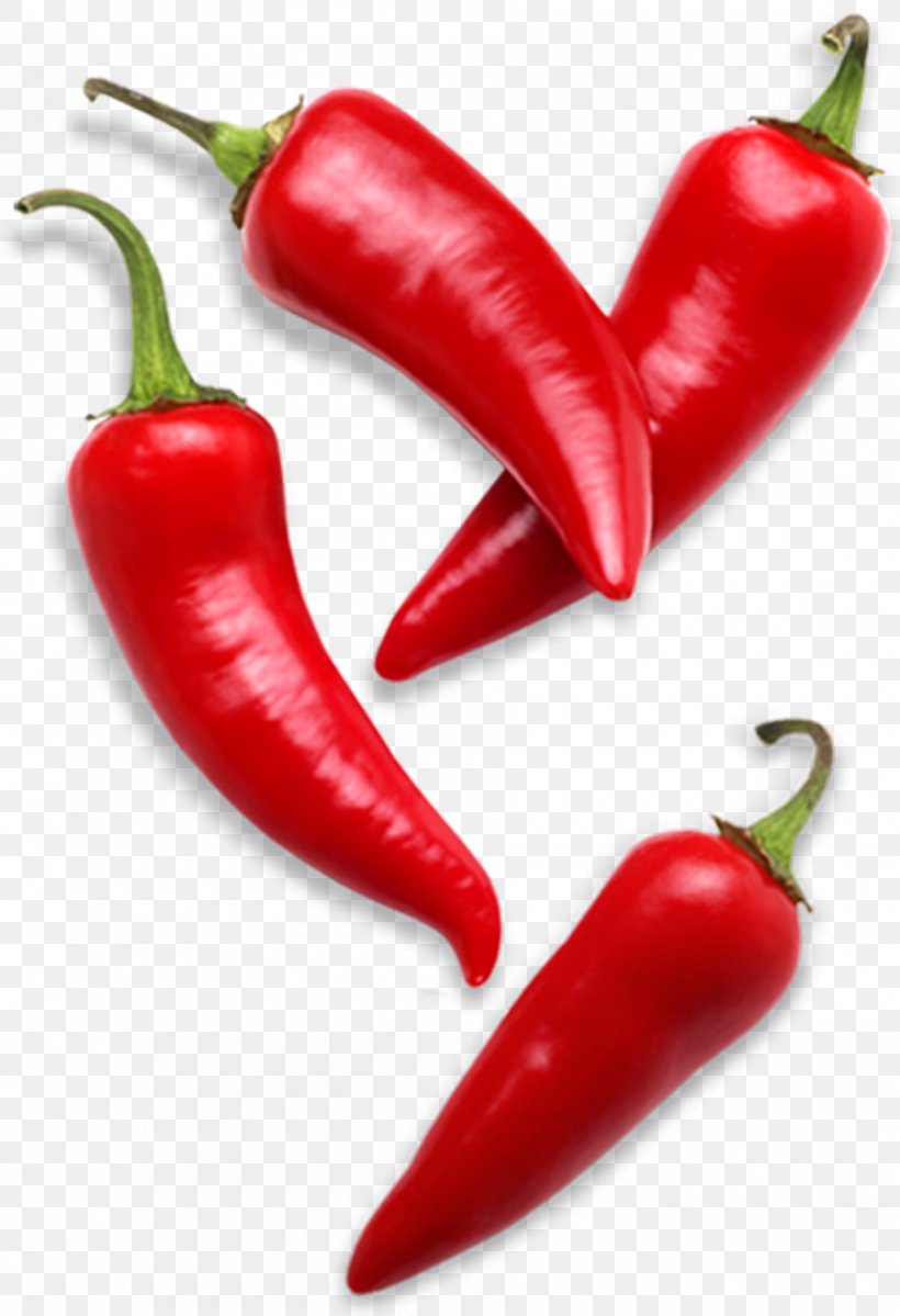 Cayenne Pepper Bell Pepper Capsicum Frutescens Chili Pepper Spice, PNG, 900x1316px, Cayenne Pepper, Bell Pepper, Bell Peppers And Chili Peppers, Bird S Eye Chili, Capsicum Download Free