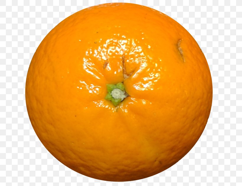 Clementine Tangerine Mandarin Orange Tangelo, PNG, 660x632px, Clementine, Bitter Orange, Calabaza, Cartography, Citric Acid Download Free