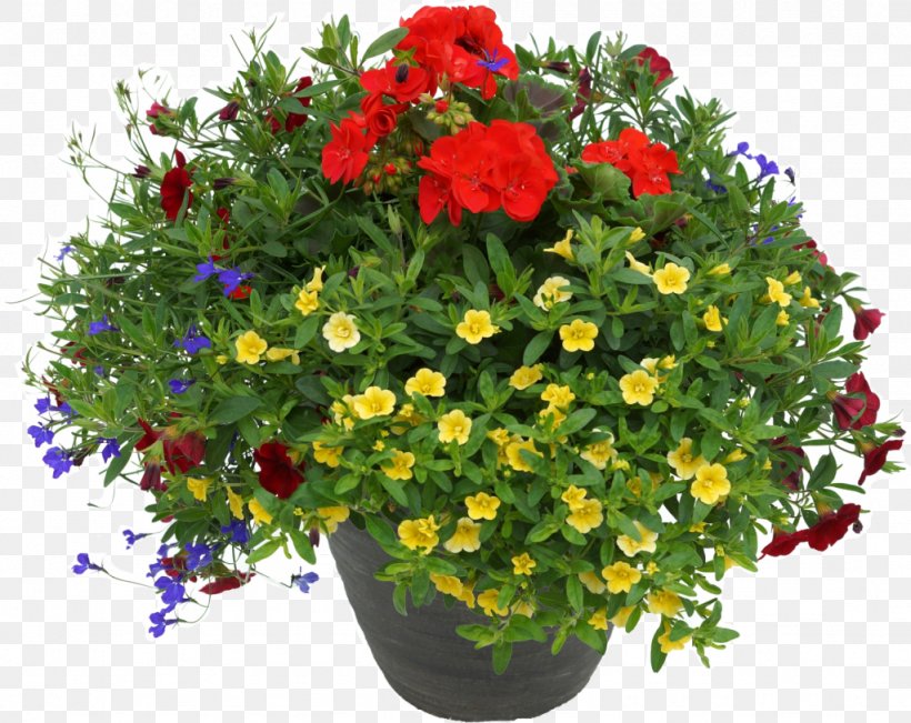 Fundraising Flowerpot Houseplant, PNG, 1024x814px, Fundraising, Annual Plant, Bedding, Crane Sbill, Cut Flowers Download Free