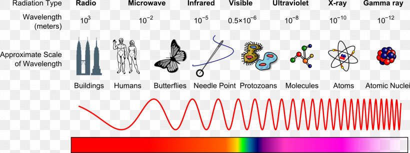 Light Electromagnetic Spectrum Electromagnetic Radiation X-ray, PNG, 1779x665px, Watercolor, Cartoon, Flower, Frame, Heart Download Free