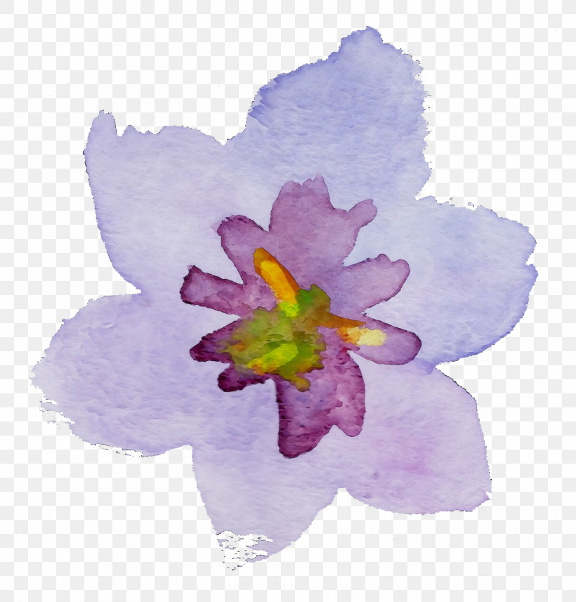 Violet Flower Petal Purple Watercolor Paint, PNG, 1820x1904px, Watercolor Flower, Cattleya, Crocus, Drawing, Flower Download Free