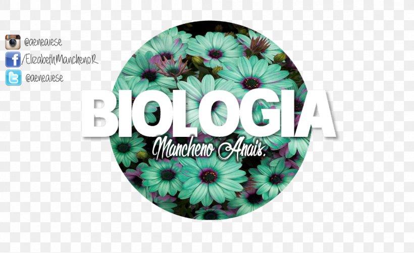 Biology Abiogenesis Theory Of Relativity Science, PNG, 1098x671px, Biology, Abiogenesis, Brand, Dna, Flower Download Free